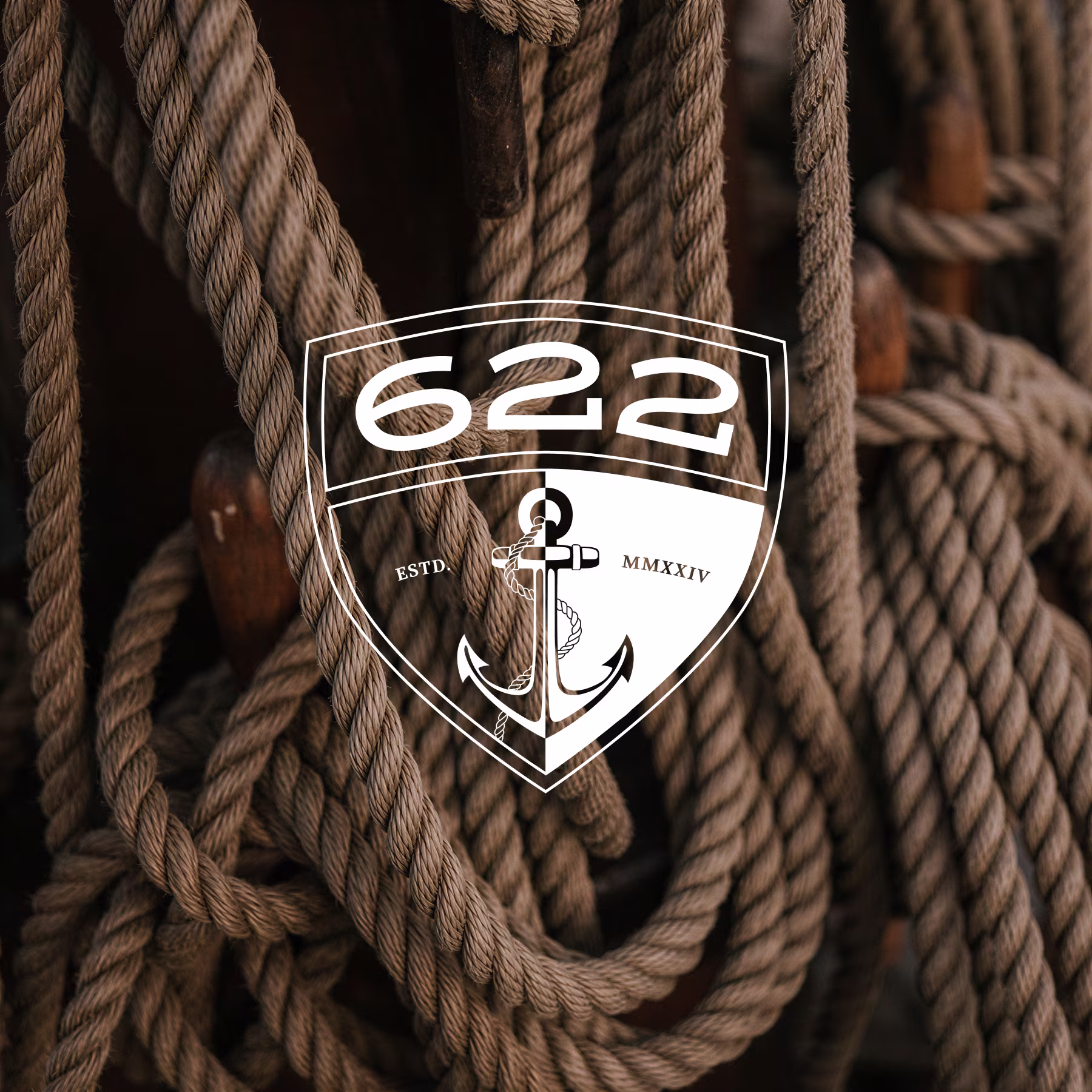 The emblem across seven surfaces and colour pairings